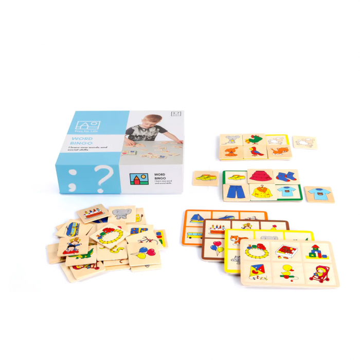 Nghiên cứu từ vựng Montessori (Word Study)