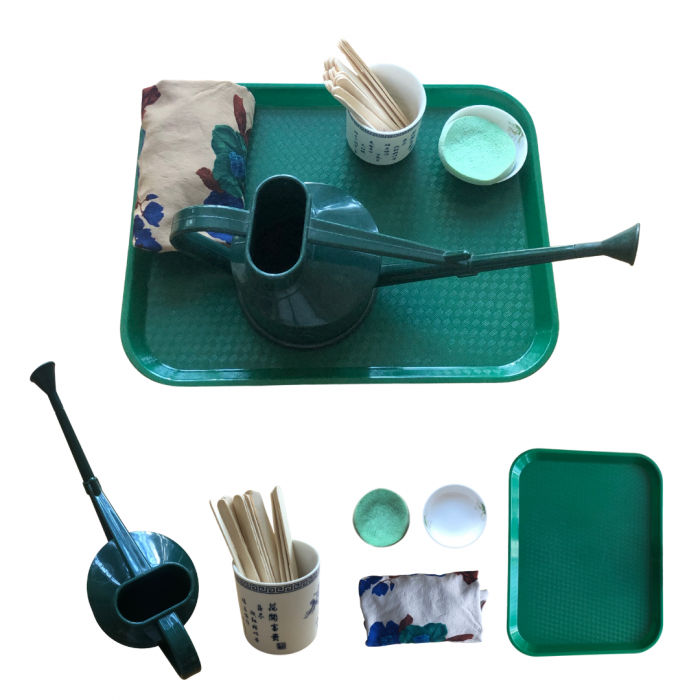 Tưới cây