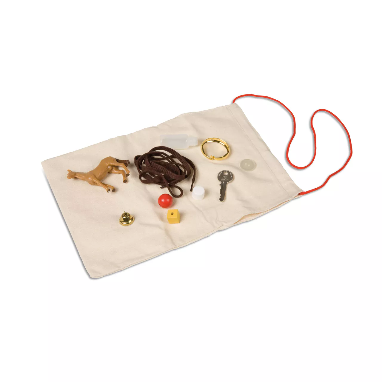 Túi bí mật (Mystery Bag: Familiar Items)
